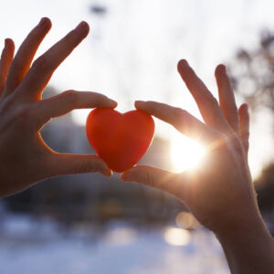 Donation